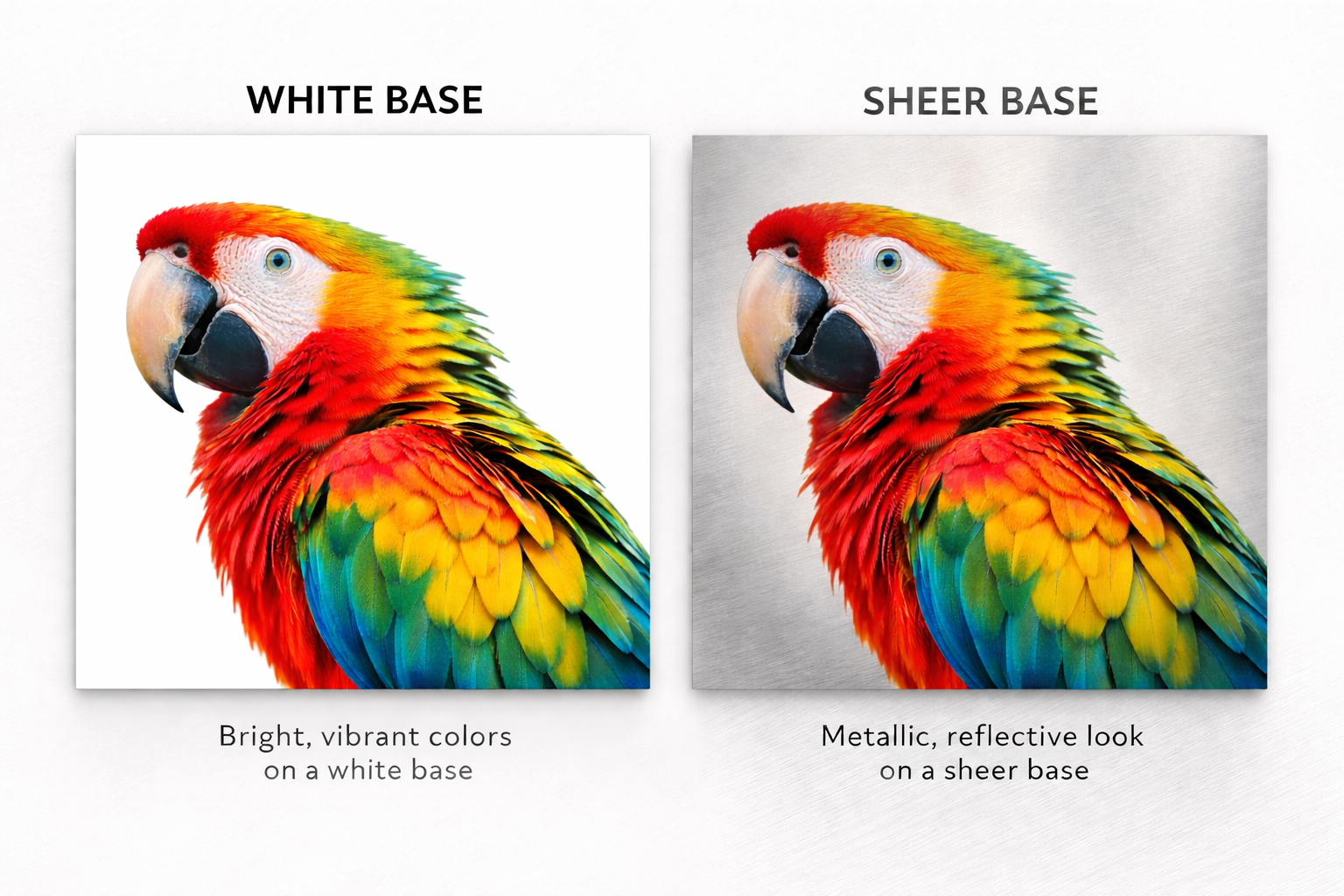 White or sheer surface